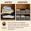 Organizador de Ropa Plegable con Asa Reforzada